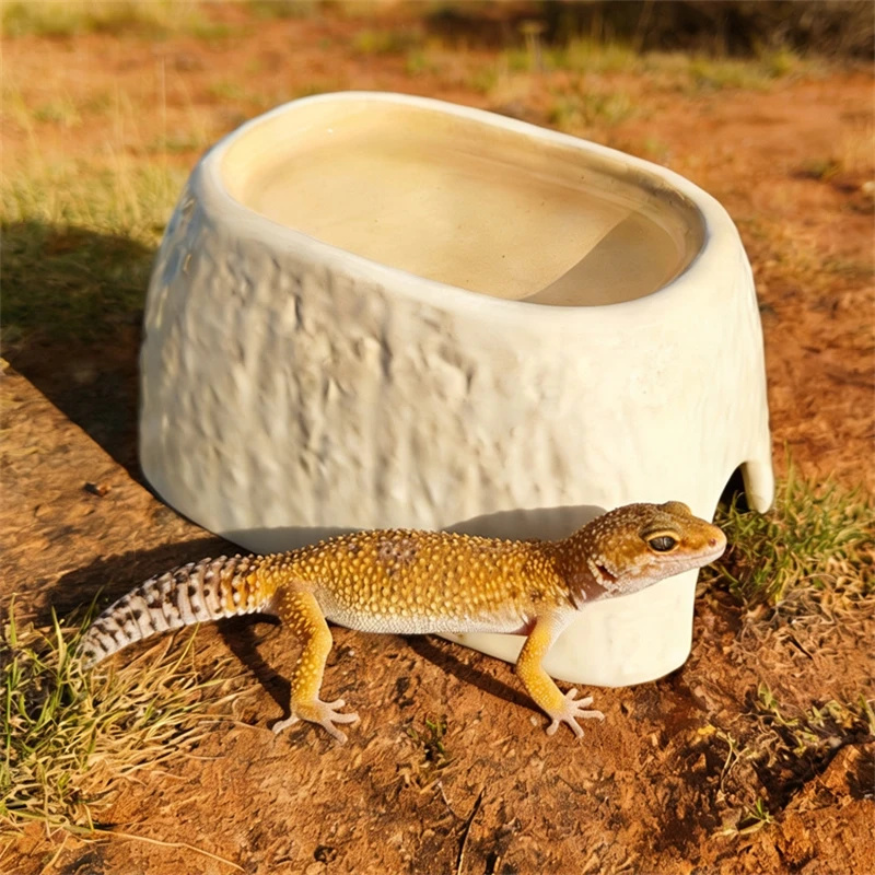 Ceramic Leopard Print Humid Hi - огляд і ціна Hide Cave Ceramic