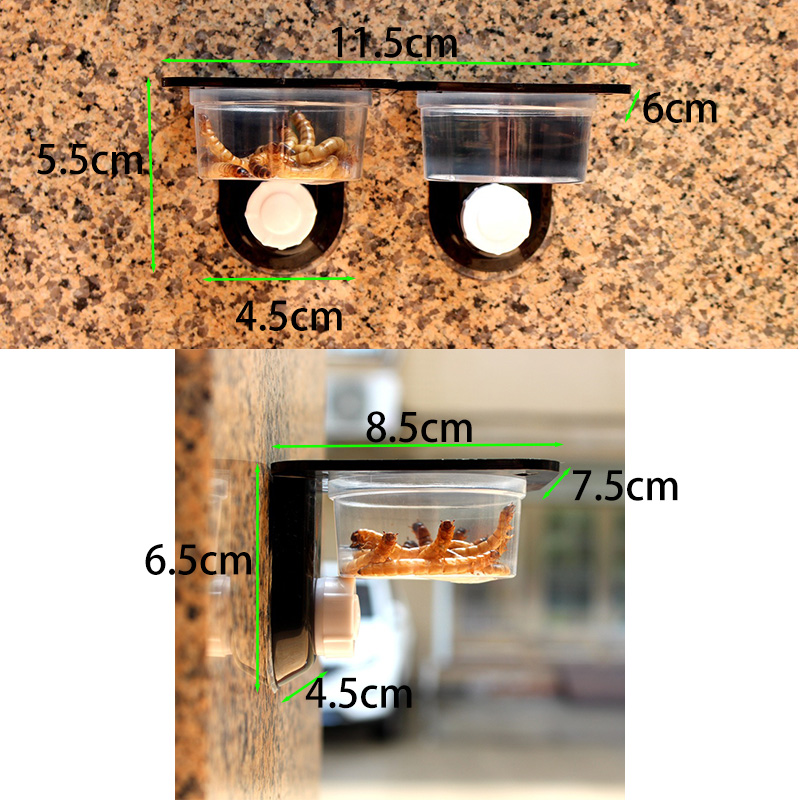 Reptile Tank Accessories Insec - огляд і ціна Water Dish Reptile