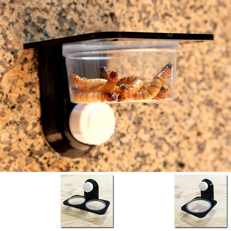 Reptile Tank Accessories Insec - огляд і ціна Water Dish Reptile