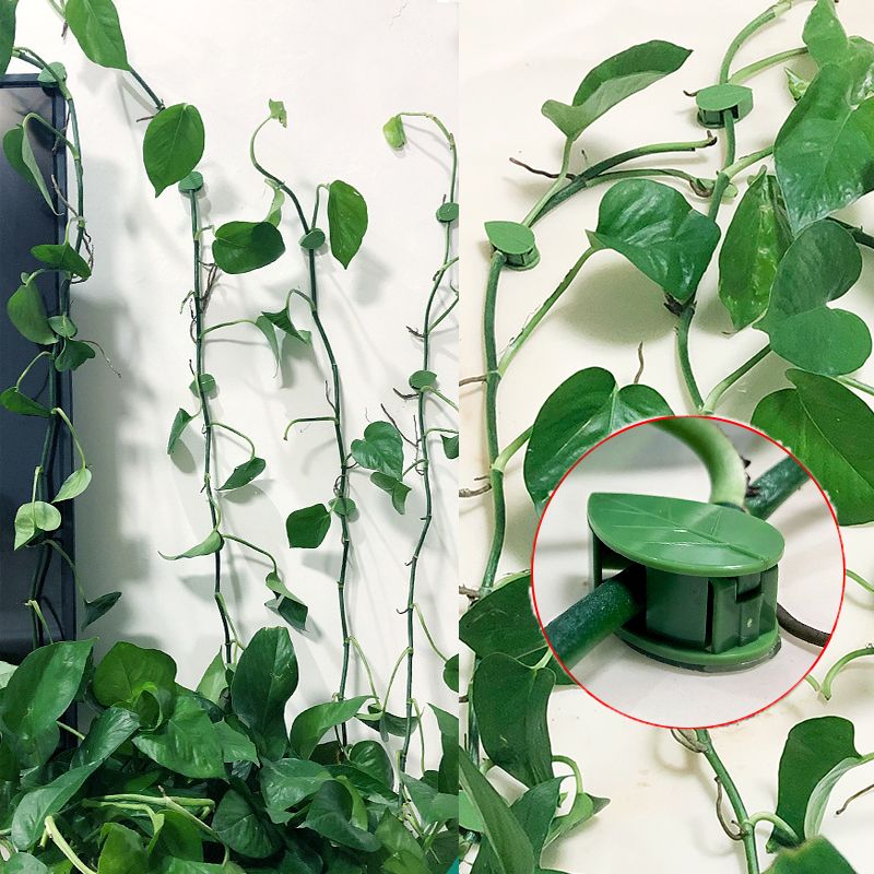 10/30/50Pcs Plant Climbing Wal - огляд і ціна Vine Climbing Plastic